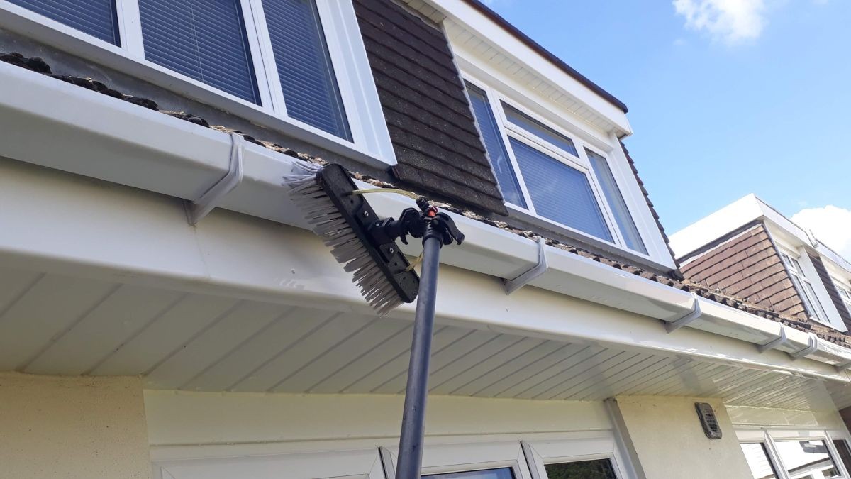Fascia and soffit professional cleaning
